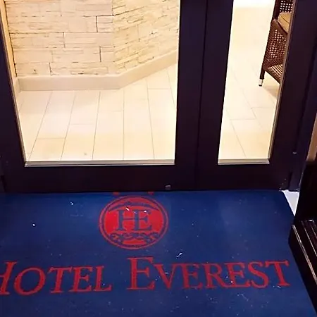 Everest Otel 2*